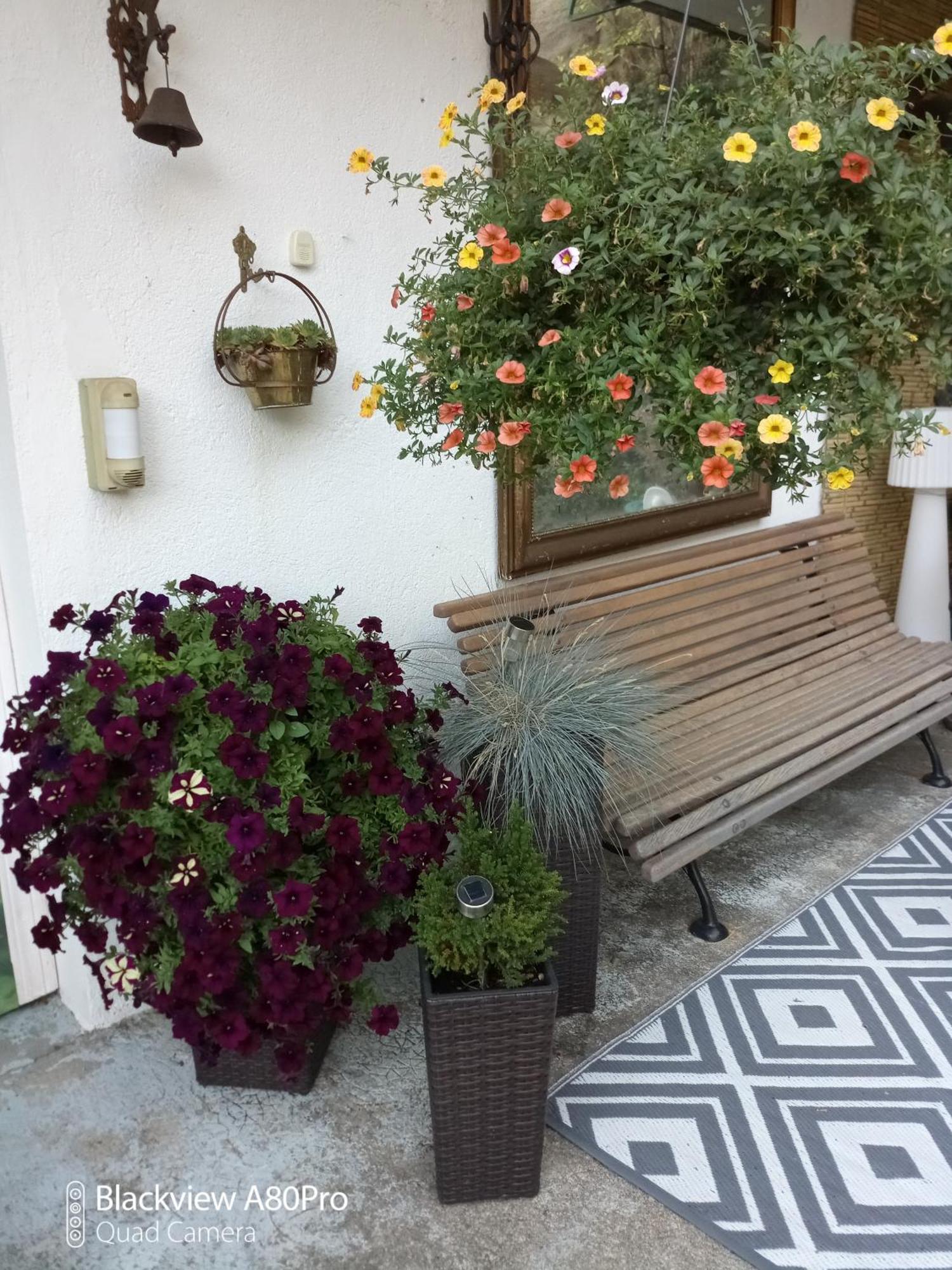 Chambre Bounty, B&B, Cuisine Privee, Lit Queen Size, Terrasse, Parking, Garage Olliergues 外观 照片