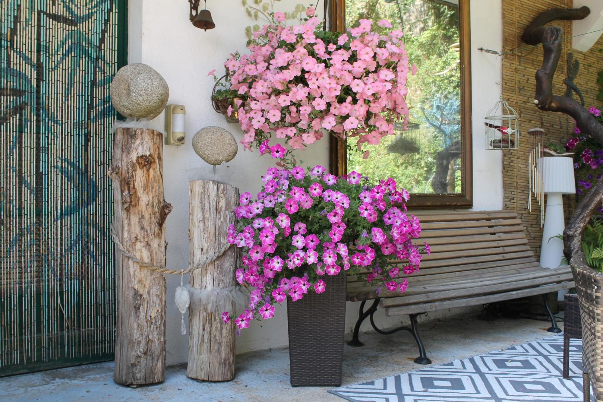 Chambre Bounty, B&B, Cuisine Privee, Lit Queen Size, Terrasse, Parking, Garage Olliergues 外观 照片